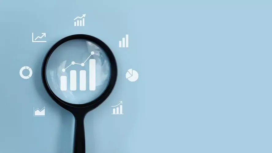 magnifying glass icon